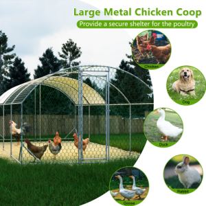 Poulailler Métal 26x9x6 Parcours Couvercle Imperméable