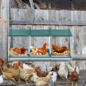 Nichoirs poulets acier galvanisé 3 compartiments, facile montage