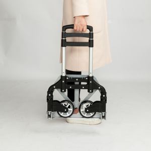 Chariot trolley repliable télescopique luggage noir