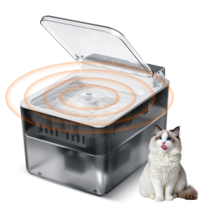 Fontaine chat induction acier inox 304, batterie rechargeable