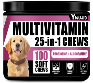 Supplément Immunitaire 25 en 1