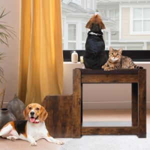 Lit chien chat multi-niveaux fenêtre grattoir