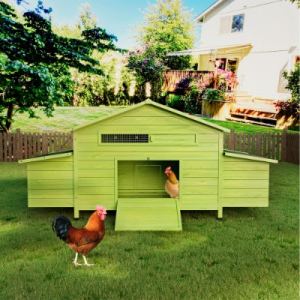 Poulailler bois 11,12 pi, 2 portes, 2 nids, perchoir, gris