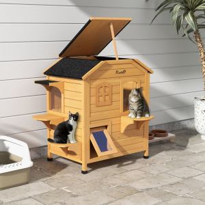 Maison chat 2 étages bois abri refuge 4 plateformes naturel