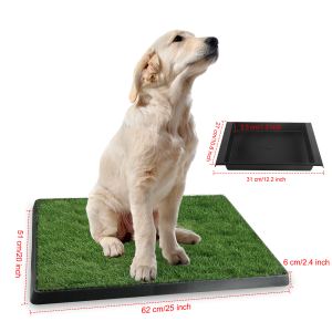 Tapis toilette chat herbe artificielle intérieur extérieur