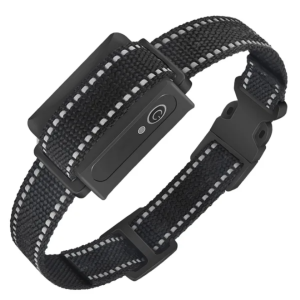 Collier dressage chien IP67 imperméable récepteur