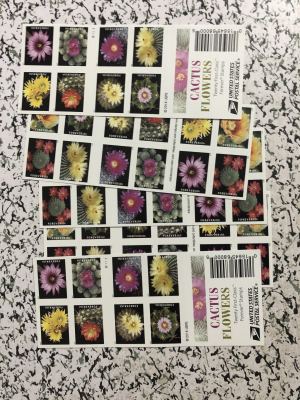Timbres drapeau É-U fleurs cactus 100pcs, livraison gratuite