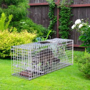 Piège animal humain 25.59" pliable capture lapin raton-laveur