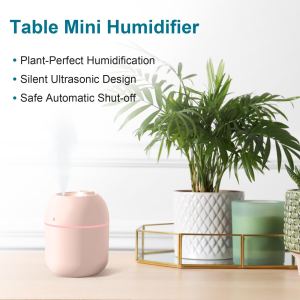 Humidificateur portable mini 220ml USB - Chambre