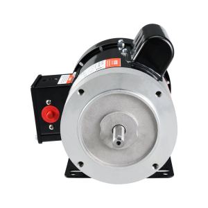 Moteur électrique 0,75 HP 1725 tr/min AC 115/230V