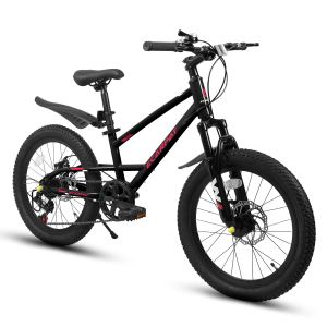 Vélo montagne A20184 20", enfants 6-12 ans, 7 vitesses
