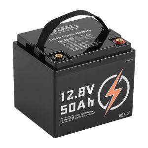 Batterie LiFePO4 12V 50Ah pour VR