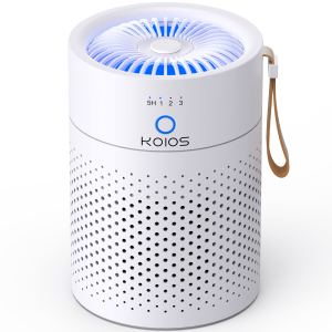 Purificateur air maison HEPA H13 - Silencieux portable