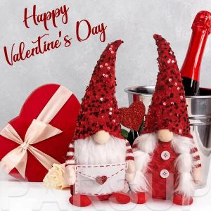 Gnomes Saint-Valentin 2 pcs peluche suédoise décoration