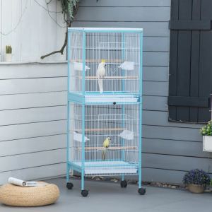 Cage Oiseau Grand Envergure