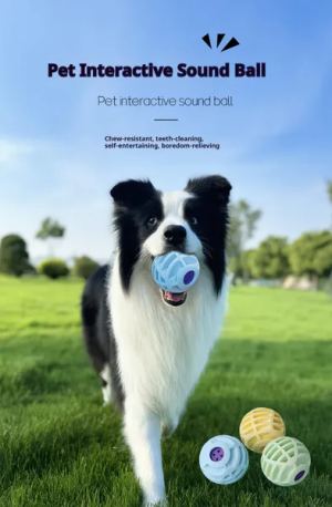 Balle interactive animaux son, jouet vocal amusant