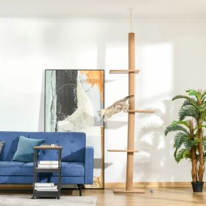 Arbre chat sol plafond poteaux sisal griffoir brun