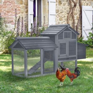 Poulailler bois 59po 2 portes nid plateau gris