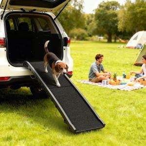 Rampe chien pliable