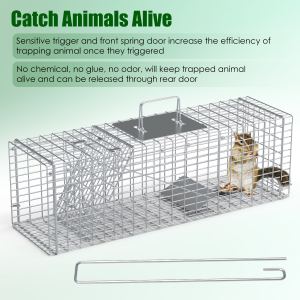 Piège à animaux 27x7.5x8po capture sans cruauté chat raton