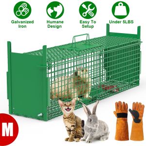 Piège cage animal 32 po 2 portes vert moins 12 lb
