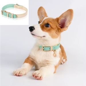 Collier chien S M L