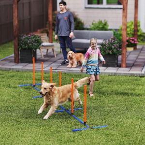 Équipement agilité chien poteaux ajustables sac