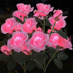 Lumières roses solaires 2 pièces LED multicolore M107