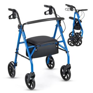 Marchette 2-en-1 avec Siège Roues 8 po Bleu