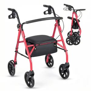 Marchette 2-en-1 avec Siège Roues 8 po Rouge