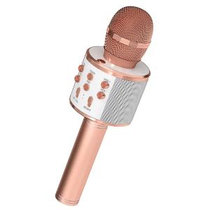 Microphone Karaoké 5 Core Sans Fil Bluetooth 3 en 1