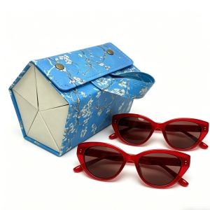 Organiseur lunettes soleil voyage 5 en 1 pliable suspendu