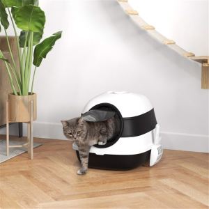 Escalier grattoir chat