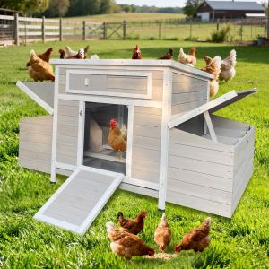 Grand poulailler bois extérieur, 2 nichoirs latéraux, cage poule-oie