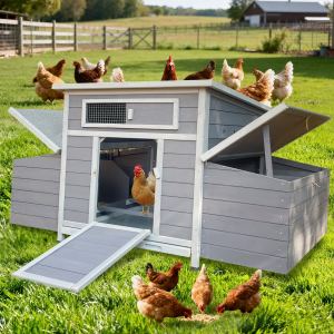 Grand poulailler bois 2 nids avec côtés ouvrants