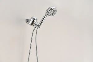 Pomme douche 2,0 GPM