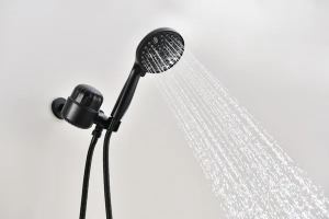 Pomme de douche portative 2,0 GPM