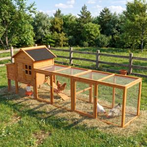 Poulailler grand parc 4-6 poules, nid intégré, bac amovible imperméable