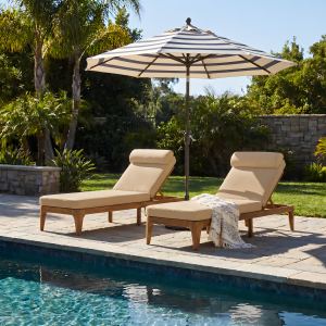 TOPMAX 2 chaises acacia brun café, dossier ajustable patio