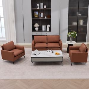 TS sofa cuir patte chat, canapé nordique, brun, 2 pcs