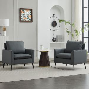 Sofa TS Chat paw cuir 2pc gris rétro nordique
