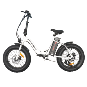 Vélo électrique pneu gras 500W marche basse G20