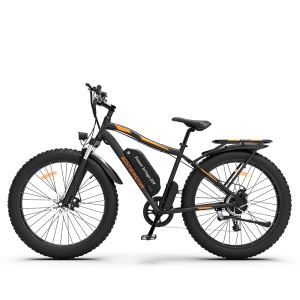 Vélo électrique montagne S07 750W