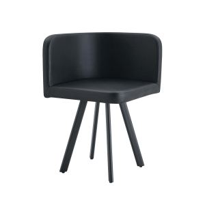 SN-C-AG2IN1-BK