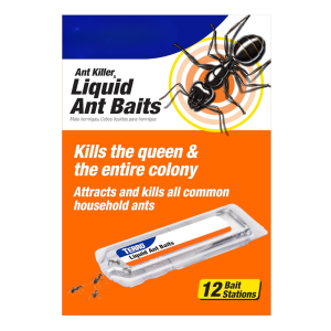 Stations appât fourmis T300B 12 unités formule borax