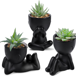 3 plantes succulentes artificielles noires décoration Halloween