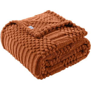 Couverture polaire rouille douce sofa couch esthétique décor saisons