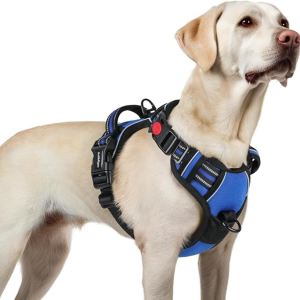 Harnais chien grande taille sans traction, bleu L