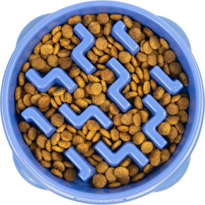 Gamelle lente chien moyen 2 tasses antidérapant