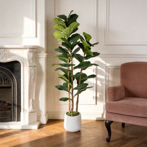 Ficus artificiel 5.2pi avec pot blanc décoratif pour bureau